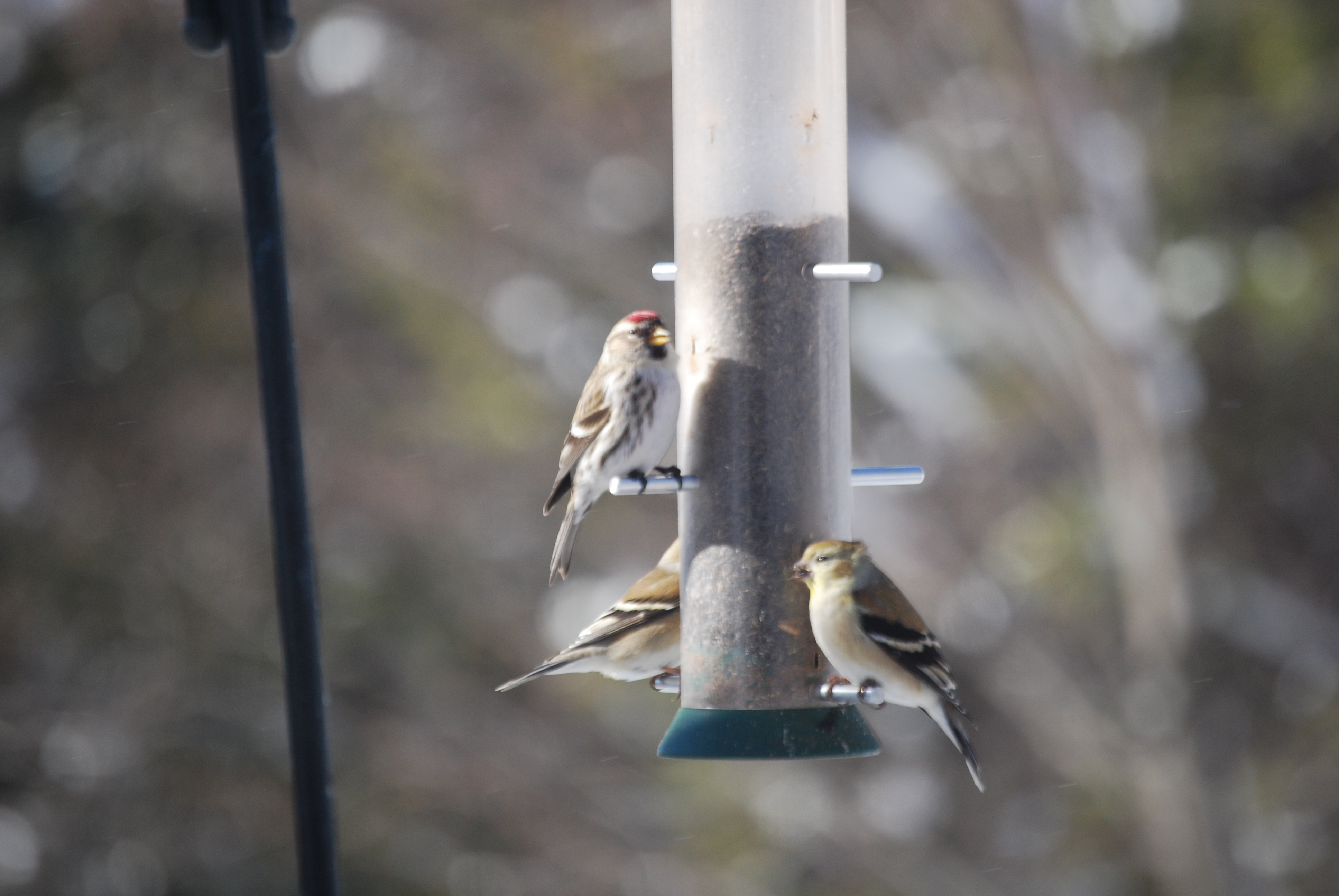 Image of :20080116_home1.JPG