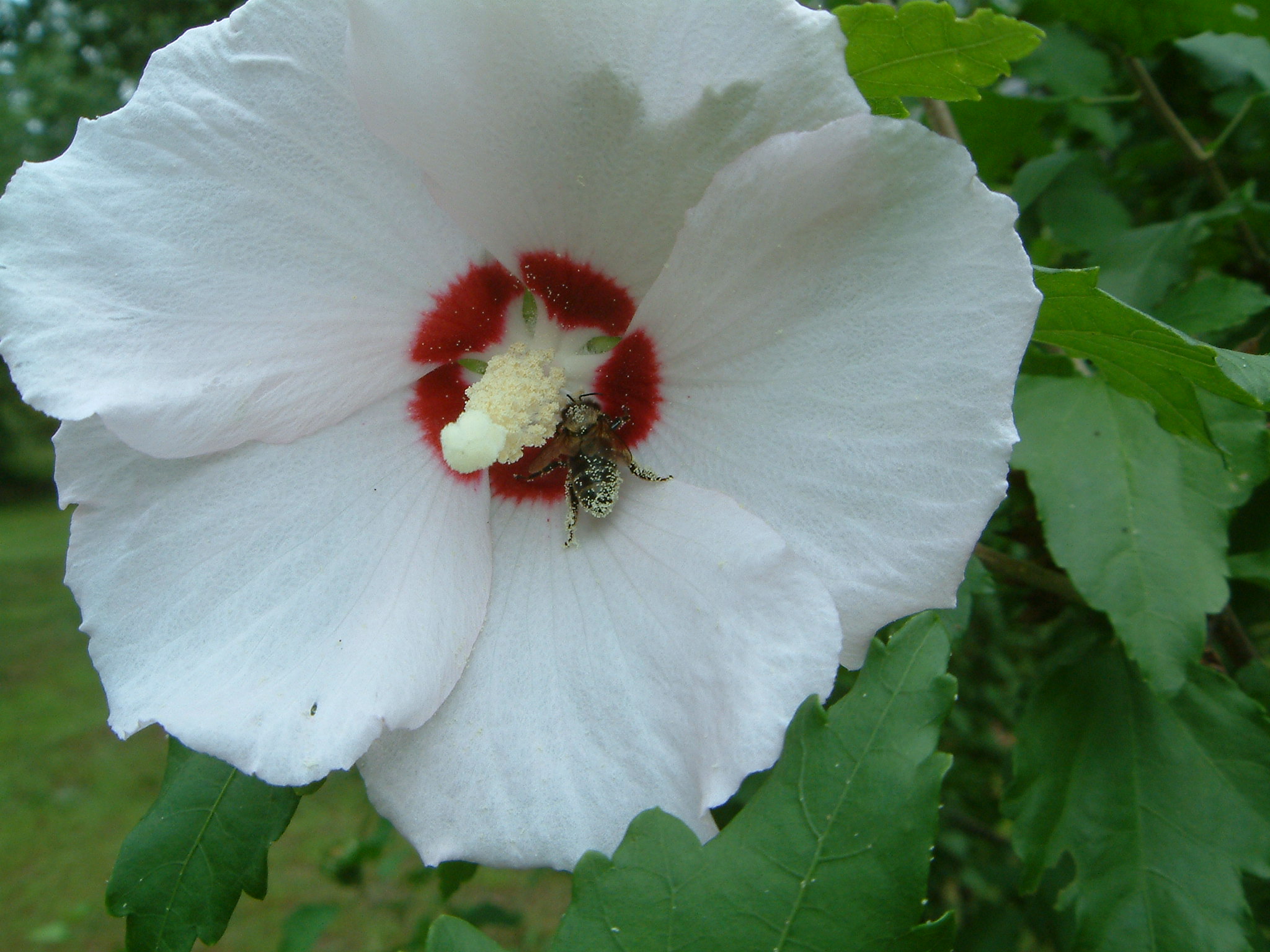 Image of :20060714_homeB.JPG