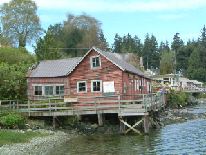 Image : 20030429_bamfield5.JPG