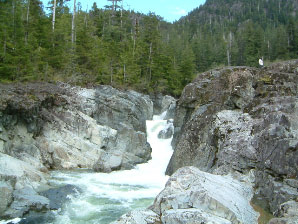 Image : 20030430_island2.JPG