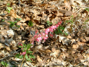 Image : 20050502_home1.JPG