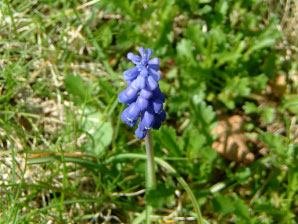 Image : 20050502_home2.JPG