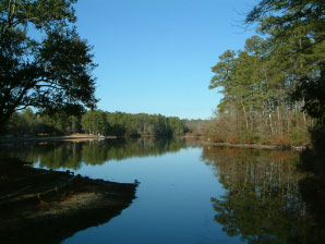 Image : 20060101_sesqui.JPG