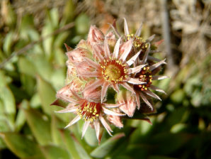 Image : 20060714_home1.JPG