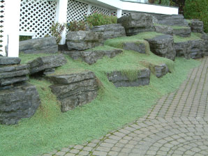 Image : 20060924_iledorlean2.JPG