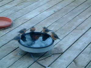 Image : 20061222_home.JPG