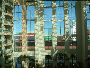 Image : 20070109_savannah.JPG