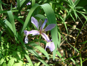 Image : 20070602_egfarms.JPG