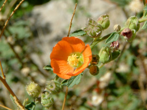 Image : 20070924_santafe.JPG