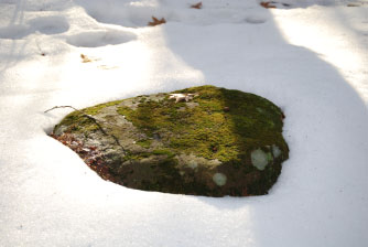 Image : 20071229_trail.JPG