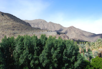 Image : 20080106_ps1.JPG