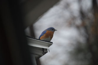 Image : 20080206_home.JPG
