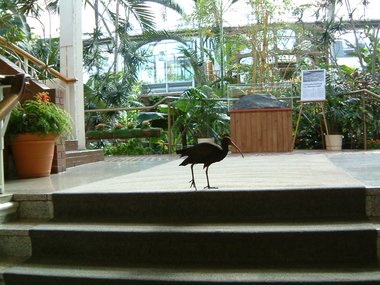 Image of :20030428_crystalgarden.JPG